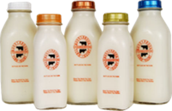 ronnybrook milk bottles