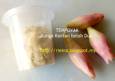 Tempyak dan Bunga Kantan