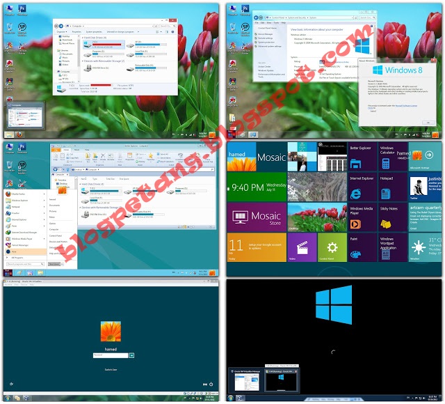 download tema window 8