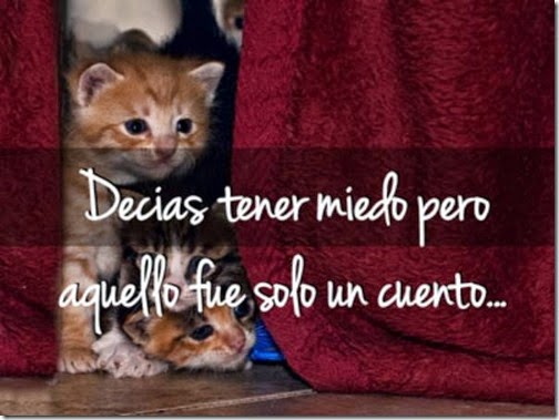 blogdeimagene (104)