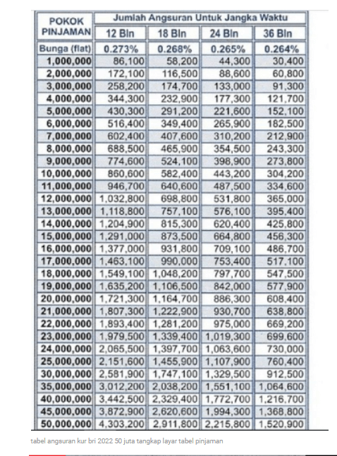 Syarat dan Ketentuan Pengajuan Pinjaman KUR Mikro BRI