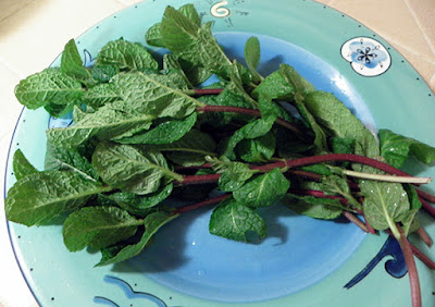 Bunch of mint on a plate