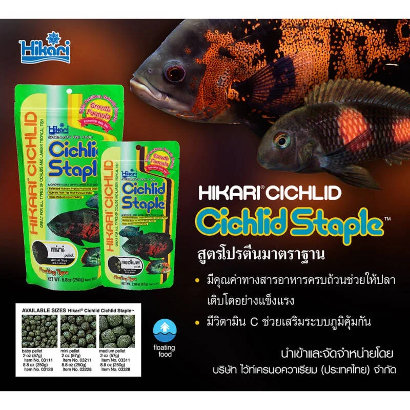 อาหารปลาหมอสี Hikari Cichild Staple