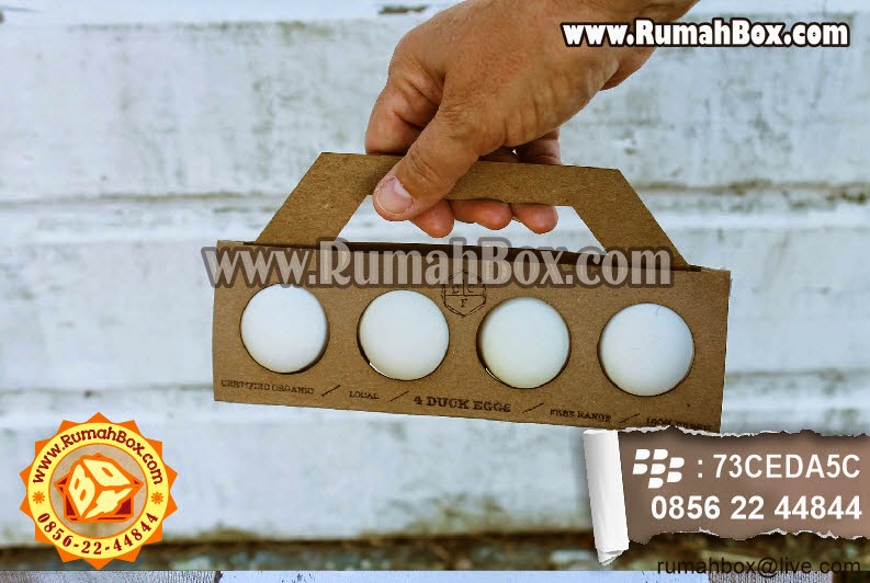  Kemasan  Telur  Unik Rumah Box