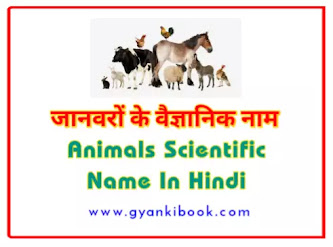 Animals Scientific Name In Hindi