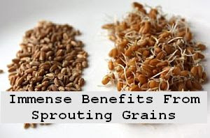 https://foreverhealthy.blogspot.com/2012/04/immense-health-benefits-of-sprouting.html#more