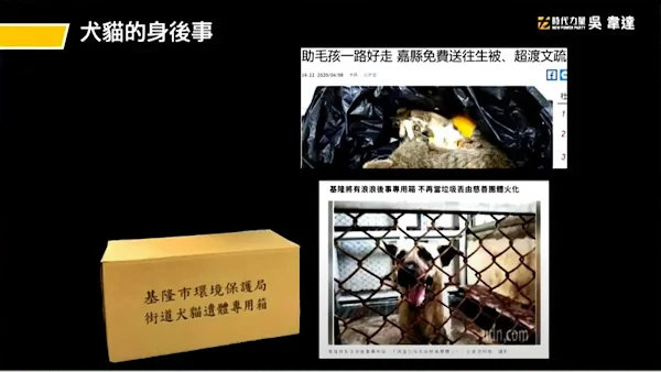 守護犬貓生命最後尊嚴 吳韋達要求人道化處理