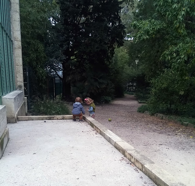 Le jardin des Plantes de Montpellier