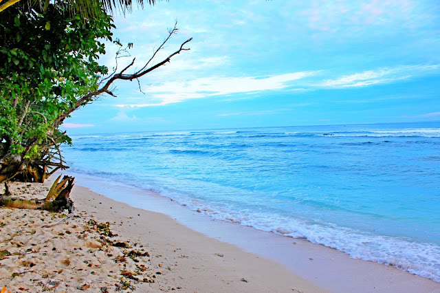 Surga Para Surfer Di Pantai Tanjung Setia Lampung, Silahkan Share..!!