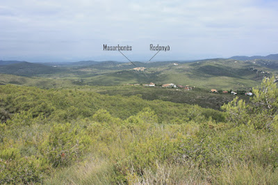 ALBINYANA - ERMITA SANT ANTONI - PUIG DE SANT ANTONI, vistes cap a l'Alt Camp des del camí de la plana Els Fornassos