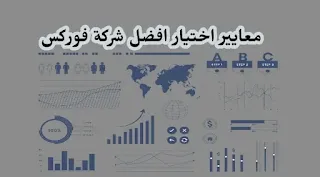 7 معايير لإختيار افضل شركة فوركس لعام 2024