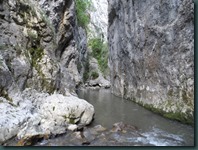 SAM_3991