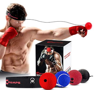 workout ball, home boxing ball, punching ball