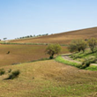 View album