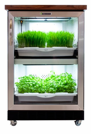  Free Standing Urban Cultivator