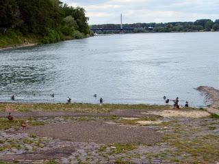 Rhein am Bonn