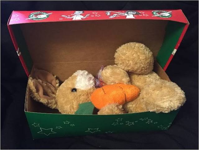Bunny in an Operation Christmas Child shoebox.