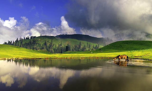 siri paye meadows location siri paye meadows height siri paye meadows weather islamabad to siri paye meadows shogran siri paye siri paye meadows in winter siri paye shogran hotels