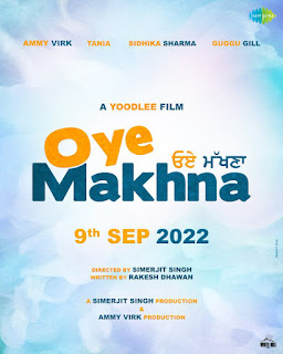 Oye Makhna ~ hit or flop budget box office collection