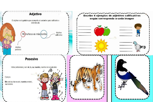 primer grado,primaria,calificativos,actividades,material