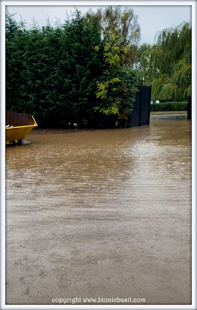 The BBHQ Midweek News Round-Up ©BionicBasil® Flooding At Work