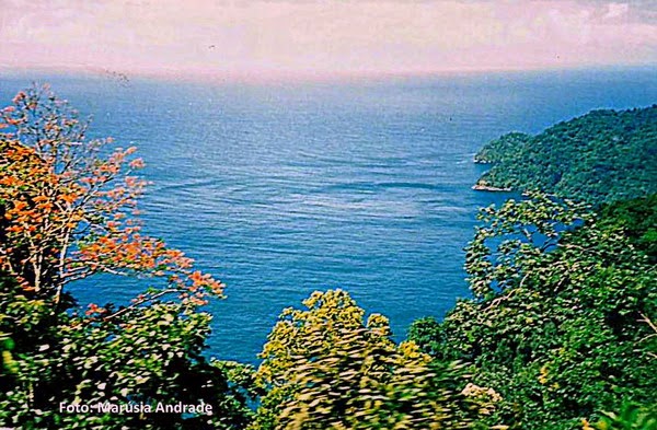 Estrada para Maracas Bay, Trinidad e Tobago