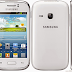Galaxy Young S6310 Format Atma
