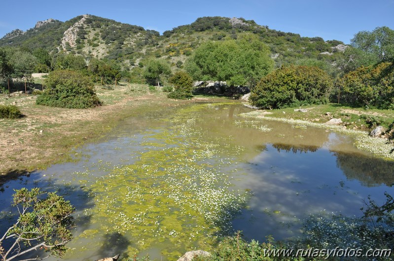 Cerros Albarracinejo-Peñuelas-Ponce-Albarracin y Alto del Puntal