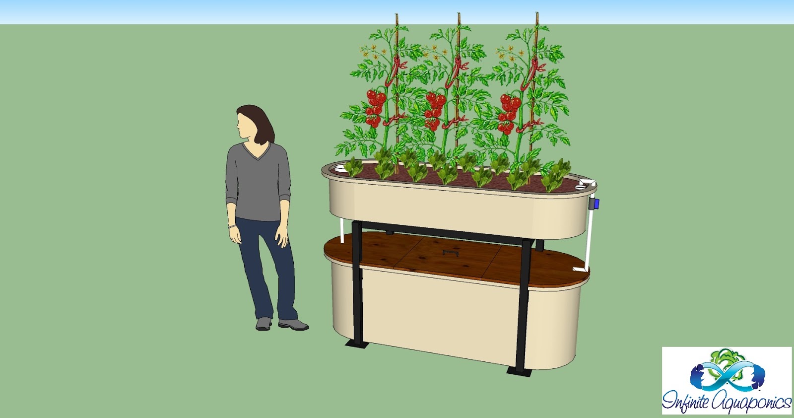 Infinite Aquaponics: Friday SketchUp Archive [150-70 Stock ...