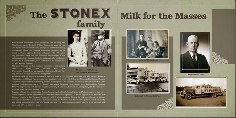 stonex