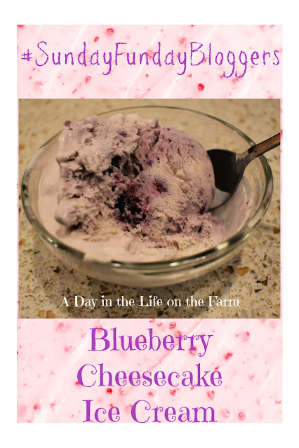 Blueberry Cheesecake Ice Cream pin
