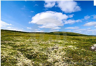 Paysage de toundra. credit: Dreamstime