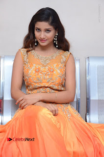 Telugu Actress Aarti Stills in Long Dress at Plus One ( 1) Audio Launch  0064.jpg