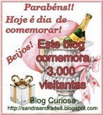Parabéns Sandra blog "curiosa" pelas 3000 visitas