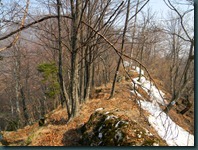 DSCN7407