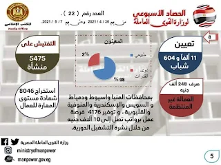 حصاد الأسبوع لوزارة القوى العاملة.. انفوجراف