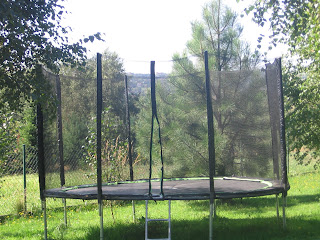 trampolina Zipro