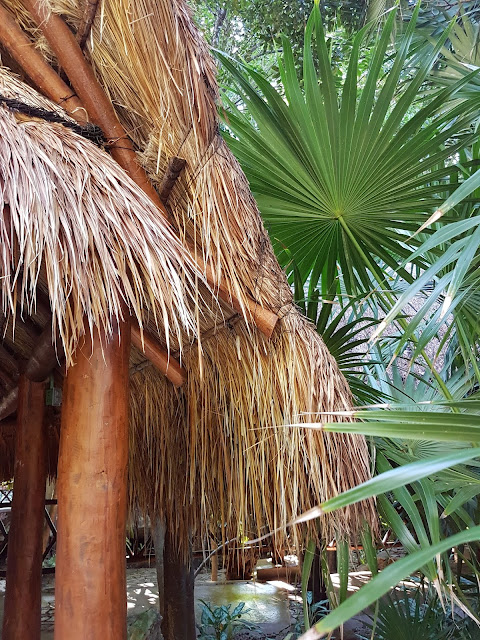 thatched roof in Mexico