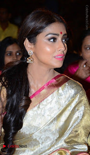 Actress Shriya Saran New Images in Silk Saree at Gautamiputra Satakarni Audio Launch  0016.jpg