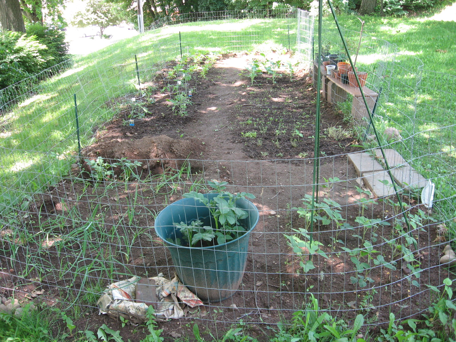 please helpneed to build chicken run fast and cheap 