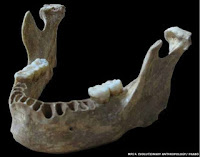 http://sciencythoughts.blogspot.co.uk/2015/09/neanderthal-dna-from-37-000-42-000.html