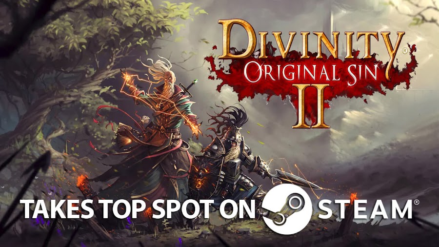 divinity original sin 2 steam