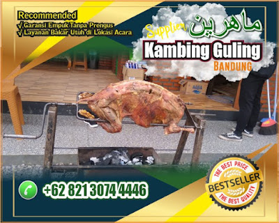 Kambing Guling Soreang Bandung, Kambing Guling Soreang, Kambing Guling Bandung, Kambing Guling,