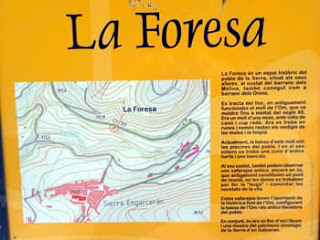 la-foresa-sierra-engarceran