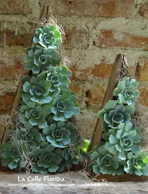 O Natal é o símbolo da vida, do nascimento do nosso salvador, então nada melhor do que decorar a casa com plantinhas, pois elas simbolizam a vida, harmonizam e purificam nosso lar, trazem a beleza da natureza e da vida para dentro de nossas casas.