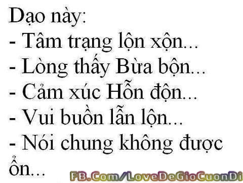  may ao thun quang cao 