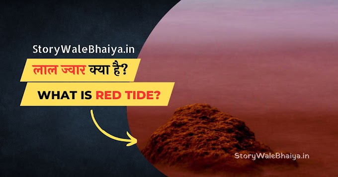 लाल ज्वार (Red Tide) क्या है और कैसे बनता है? - पूरी जानकारी | Red Tide UPSC in Hindi