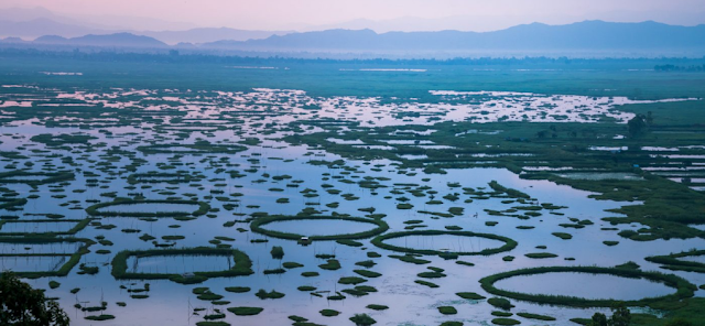 Keibul Lamjao National Park