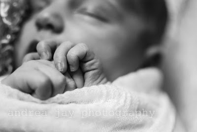 newborn portrail hands