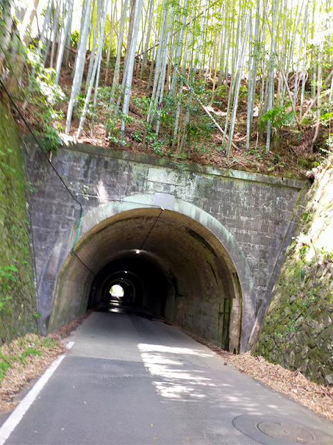 昭和3年に開通した、旧善波隧道